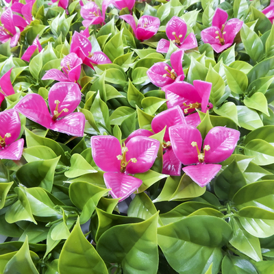 Exhibition Artificial Green Wall Panels Outdoor PE PP