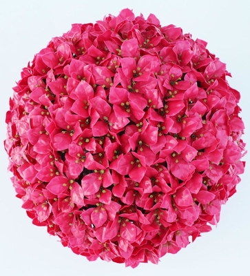 Ornamental Artificial Green Topiary Ball